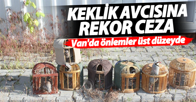 Vanlı Keklik avcısına rekor ceza kesildi