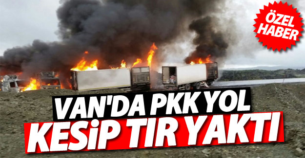 (ÖZEL HABER) PKK Çaldıran'da yol kesip TIR yaktı!