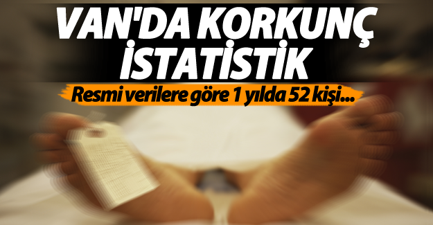 Van'da korkunç istatistik! Bir yılda Van'da 52 kişi..