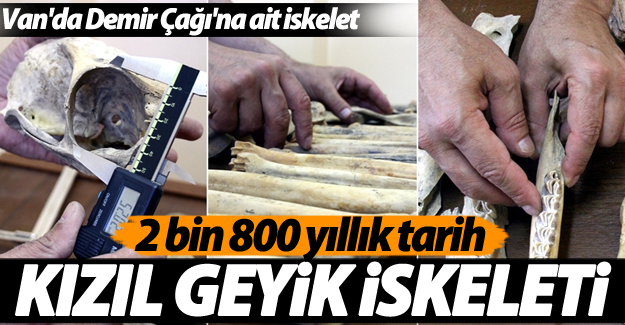 Van'da Demir Çağı'na ait kızıl geyik iskeleti bulundu