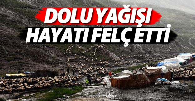 Şiddetli dolu yağışı yaylacılara zor anlar yaşattı