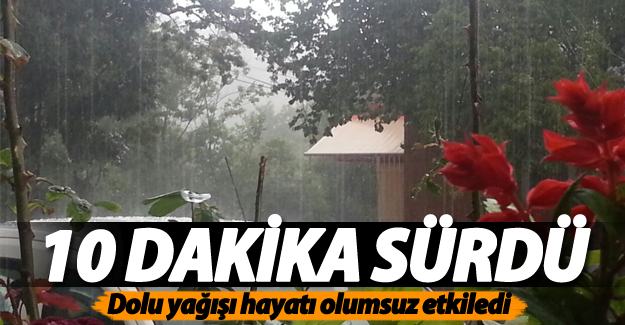 Gevaş'ta Dolu Yağışı