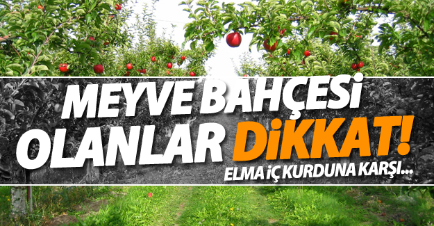 Van'da meyve bahçesi olanlara önemli uyarı