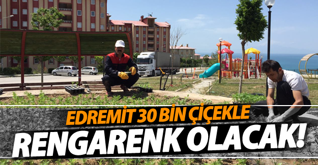 Edremit 30 bin çiçekle rengarenk olacak !