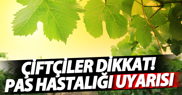 Çiftçilere pas hastalığı uyarısı