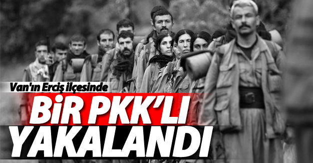 Van’da bir PKK’lı yakalandı
