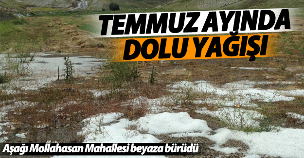Van'da dolu yağdı