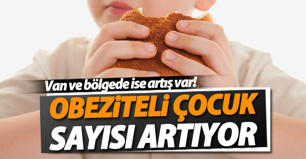 Türkiye’de obeziteli çocuk sayısı artıyor! Van'da ise..