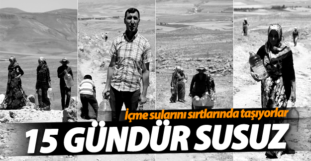 İçme sularını sırtlarında taşıyorlar