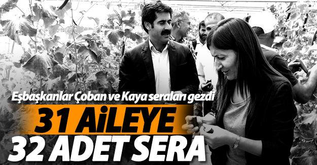 Büyükşehir, 31 aileye 32 adet sera kurdu