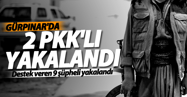 SON DAKİKA! Gürpınar'da 2 PKK'lı ve 9 şüpheli yakalandı!