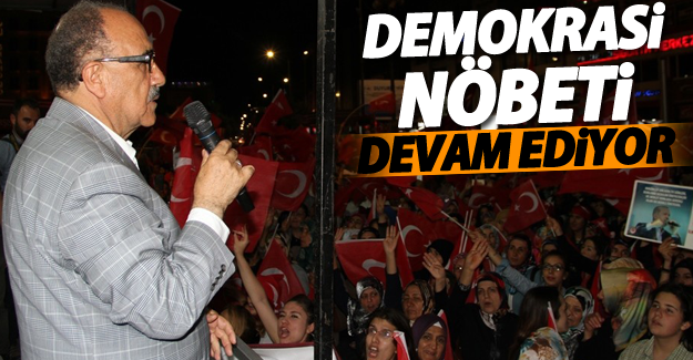 Van'da demokrasi nöbeti devam ediyor