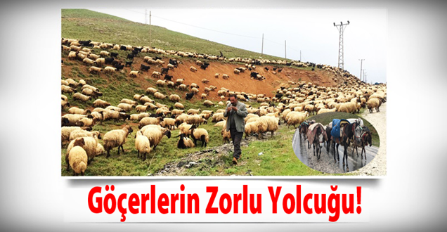 Göçerlerin zorlu yolculuğu!