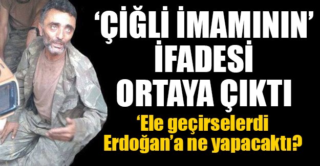 Cumhurbaşkanı Erdoğan'ı ele geçirselerdi ne yapacaklardı?