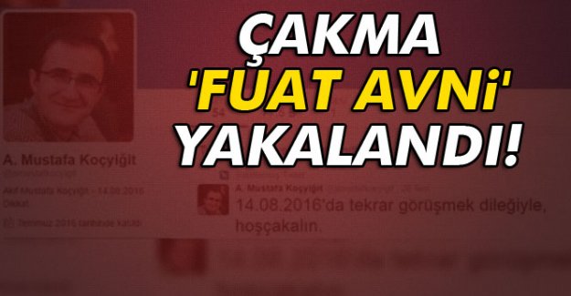 Çakma 'Fuat Avni' yakalandı