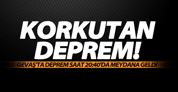 Gevaş'ta korkutan deprem