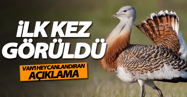Hadak: Türkiye’de ise Van ili bölgesinde görüldüğünü açıkladı