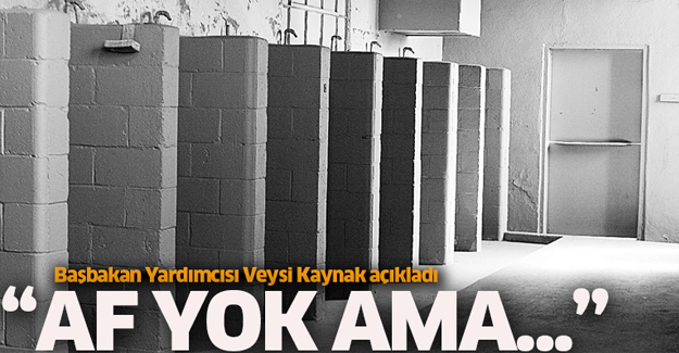 Başbakan Yardımcısı Veysi Kaynak'tan af açıklaması