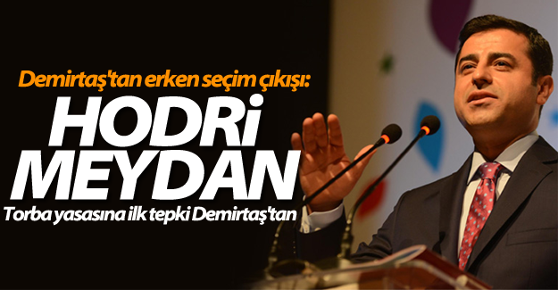 Demirtaş'tan erken seçim çıkışı: Hodri meydan