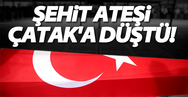 Şehit ateşi Van'a düştü