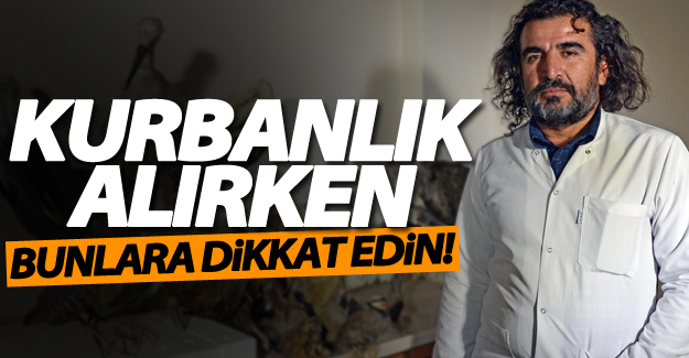 Kurbanlık seçerken bunlara dikkat edin?
