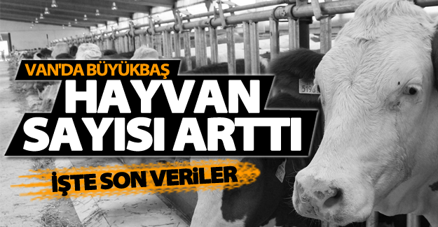 Van'da hayvan sayısı 167 bin 388 arttı
