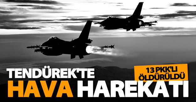 SON DAKİKA! Tendürek'te 13 PKK mensubu öldürüldü