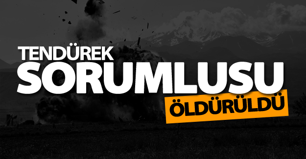 PKK'nın Tendürek bölge sorumlusu Hakan Yeni öldürüldü