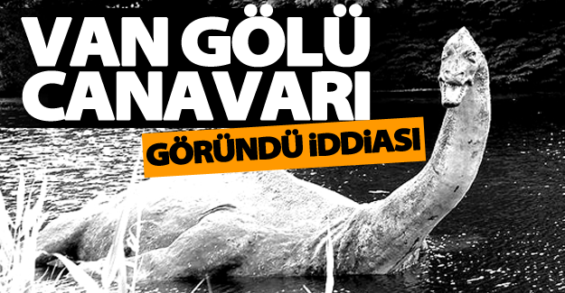 O kurumun müdürü'nden Van Gölü canavarı göründü iddiası