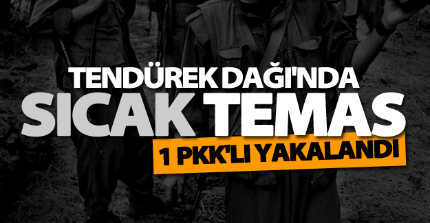 SON DAKİKA! Tendürek Dağı'nda bir PKK mensubu yakalandı