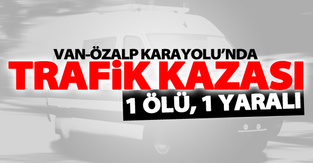 Van'da trafik kazası; 1 öü, 1 yaralı