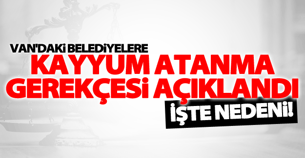 Van'daki belediyelere neden kayyum atandı! İşte nedeni