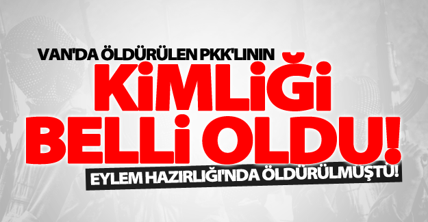 İpekyolu'da öldürülen 2 PKK'lıdan birinin kimliği belli oldu!