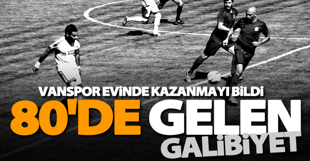 Van Büyükşehirspor evinde galip