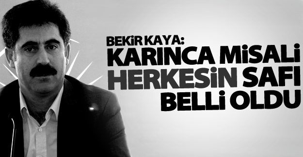 Eş Başkan Kaya: Karınca misali, herkesin safı belli oldu