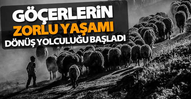 Göçerlerin dönüş yolculuğu başladı