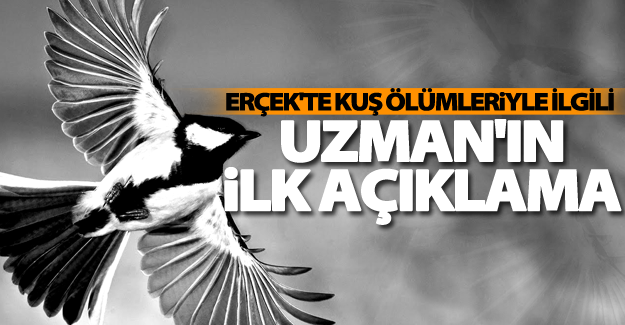 Erçek Gölü'nde yaşanan kuş ölümleriyle ilgili flaş açıklama