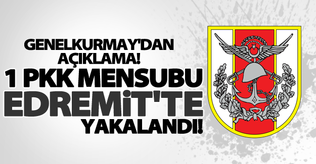 Van’da 1 PKK mensubu yakalandı