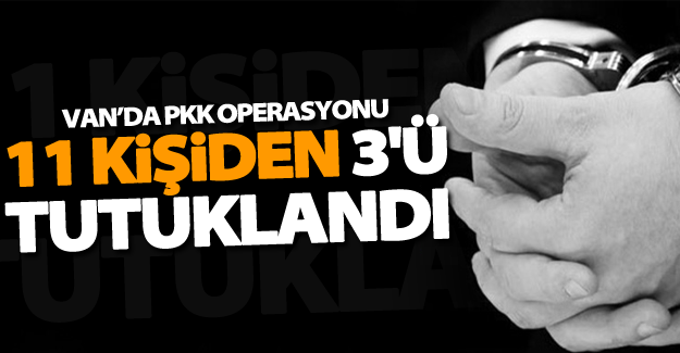 Van'da PKK operasyonu! 11 kişiden 3'ü tutuklandı