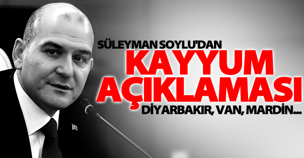 Bakan Soylu'dan çok önemli kayyum açıklaması! Diyarbakır, Van, Mardin...