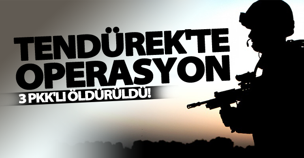 Tendürek Dağı'nda PKK'ya yönelik operasyon!