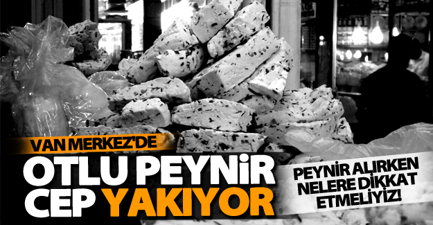 Van’ın meşhur otlu peyniri kışa hazır