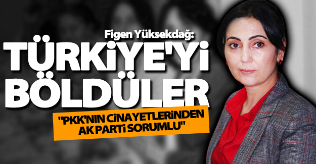 Yüksekdağ: "PKK'nın cinayetlerinden AK Parti sorumlu"