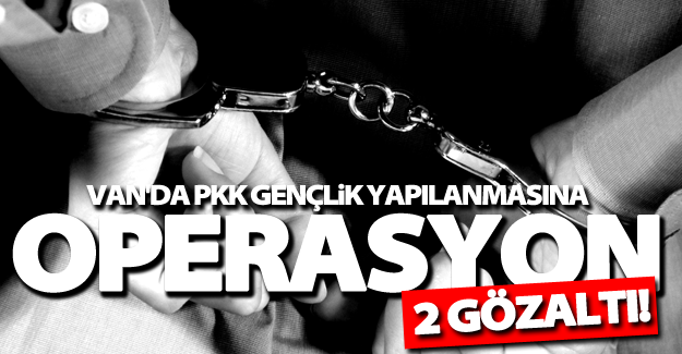 Van'da PKK gençlik yapılanmasına operasyon! 2 gözaltı