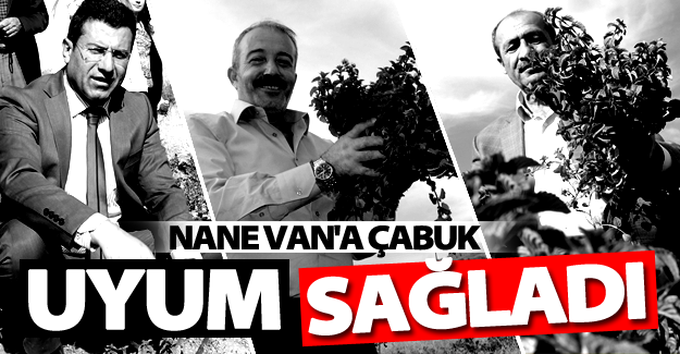 Nane Van'a uyum sağladı