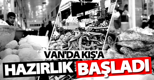 Van'da kış hazırlıkları başladı
