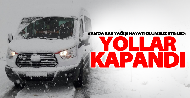 Van'da kar yağışı hayatı olumsuz etkiledi