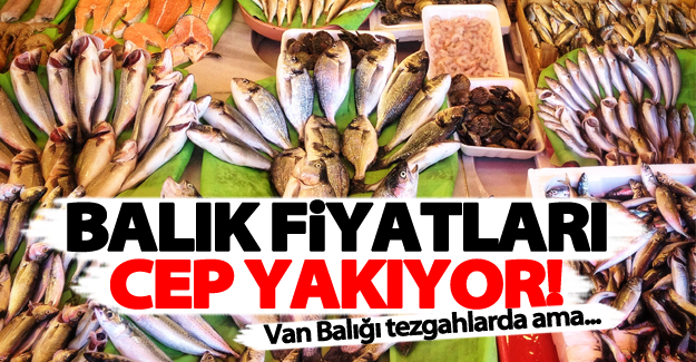 Van'da balık fiyatları cep yakıyor