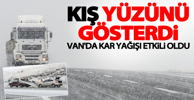 Van'da kar yağışı etkili oldu