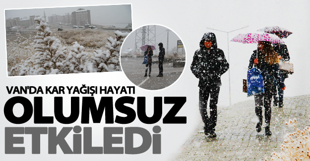 Van’da lapa lapa kar yağışı hayatı olumsuz etkiledi